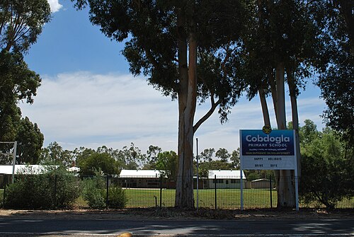 小学校