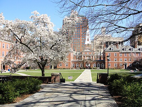 シリマン大学の中庭