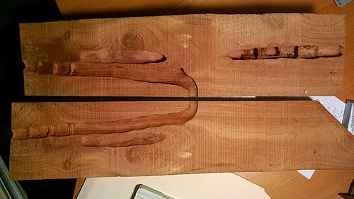 杉材の梁（切断面が切り開かれている）に巣を作るクマバチ