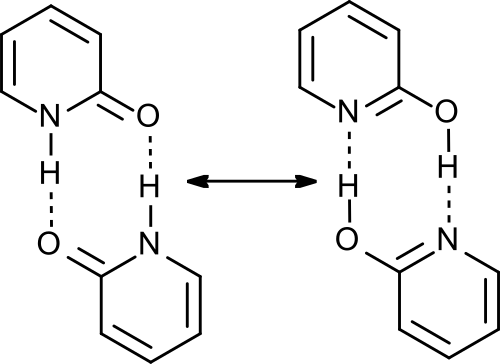 二量体