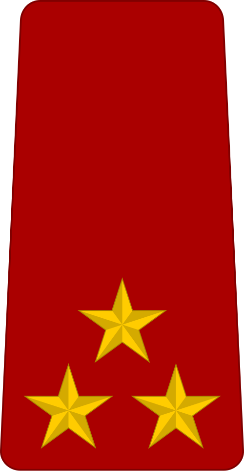 師団総司令官(チャド地上軍)
