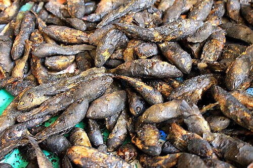燻製淡水魚（マニプル）