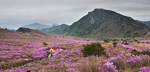 比賤山2番目の眺め