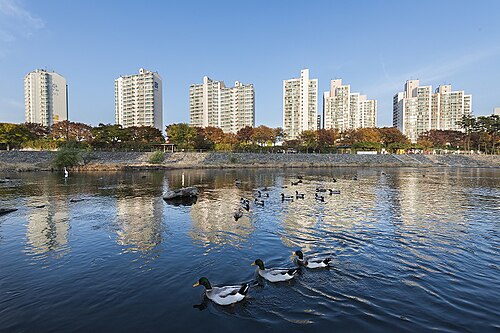 4 美しい新川