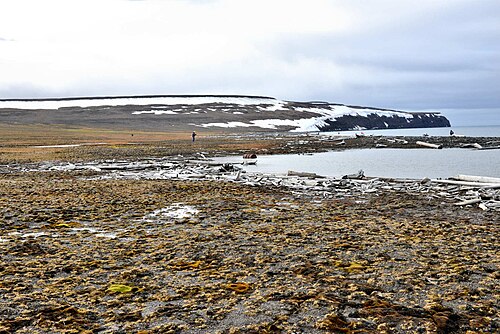 ベネット島、北海岸 – ツンドラの風景
