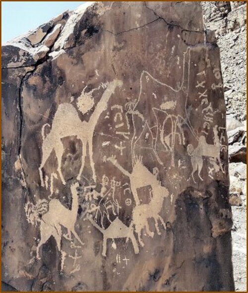 動物の岩面彫刻、タブク。