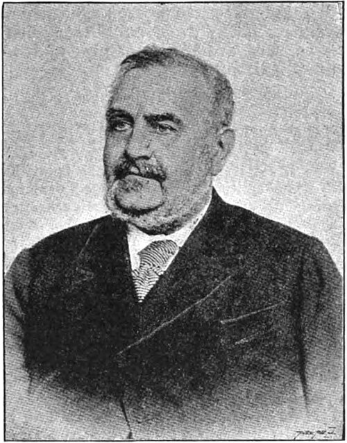 フランティシェク・ラディスラフ・リーガー（1818年 - 1903年）、政治家、国民党の共同創設者、功績によりナイト爵を授与
