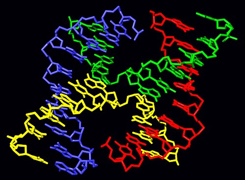 ホリデー接合部の分子構造。