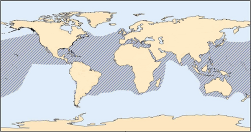 大西洋、太平洋、インド洋、地中海に生息するアカウミガメの分布地図