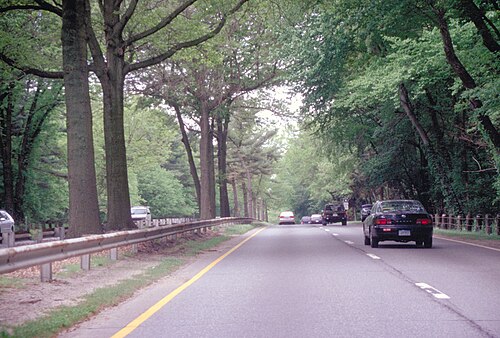 メリット・パークウェイ道路の中央にある木々