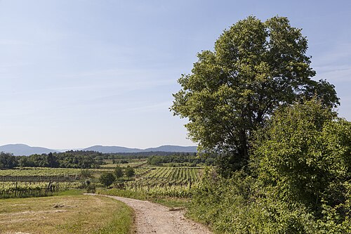 コソベル遊歩道