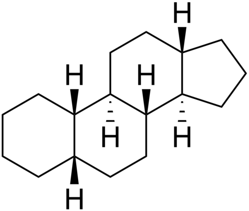 5β-ゴナン