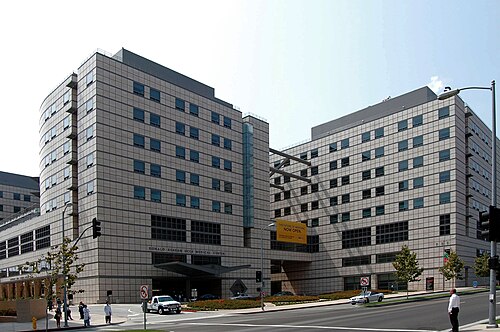 青い窓が付いた 2 つの白い多階建ての四角い建物。建物の周囲には通りと澄んだ空があります。