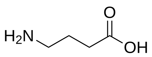 γ-アミノ酪酸（GABA）
