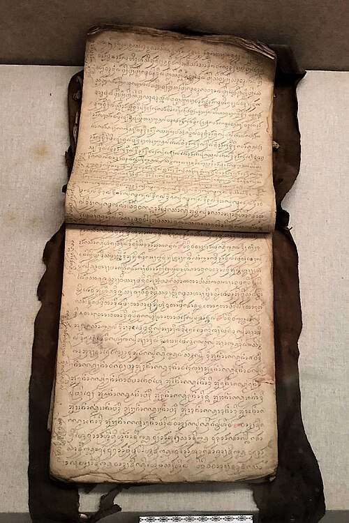 ダイ族の医学書