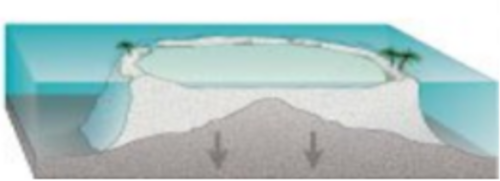 最終的に、島は海中に沈み、バリアリーフは環礁となり、開けたラグーンを囲むようになる。