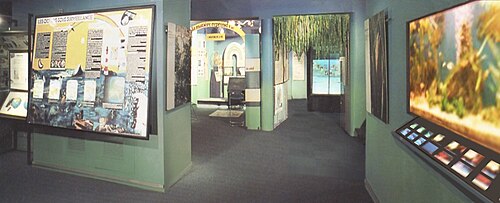 海と水の中心（1977年～2010年）