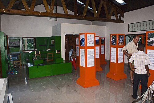 数人の人々が展示物がいっぱいの部屋の中を歩き回っています。