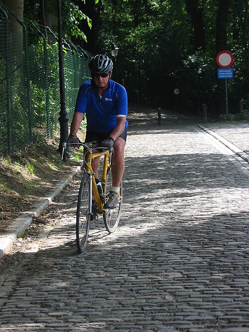De Muur van Geraardsbergen (ゲラールスベルゲンの壁)