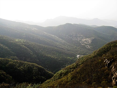 宋山に登るゴンドラを見下ろす景色