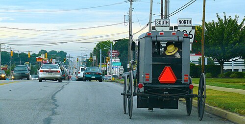 複数車線の自動車交通の中を走る馬に引かれた灰色のバギー。バックミラー、方向指示器、ライト、反射板が付いている。