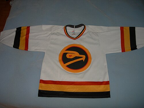 アイスホークス レプリカ ジャージ