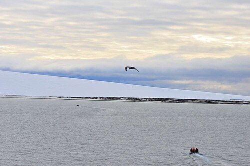 シュミット島を覆う氷冠