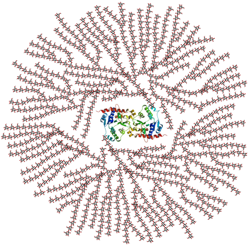 グリコーゲンの模式的な2次元断面図。グリコーゲンタンパク質の中心は、グルコース単位の枝に囲まれている。球状顆粒全体には約3万個のグルコース単位が含まれている。