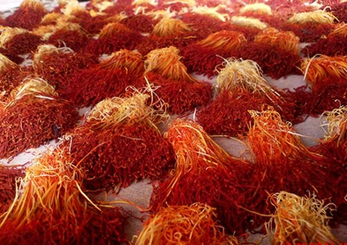 サフランはアジア、特にインドではスパイスであると同時に染料としても広く使われています。