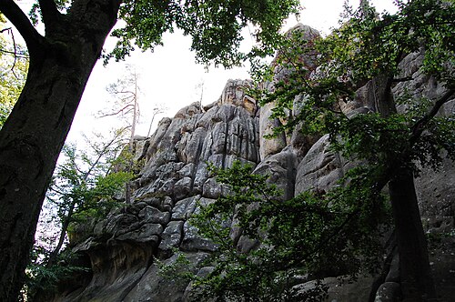 木々の間の岩