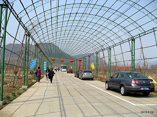 Conghai Yiyuan 摘み取り果樹園、2010