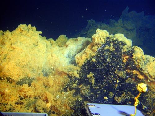 ナファヌア山の頂上は厚い微生物マットで覆われており、低温の噴出を示している。