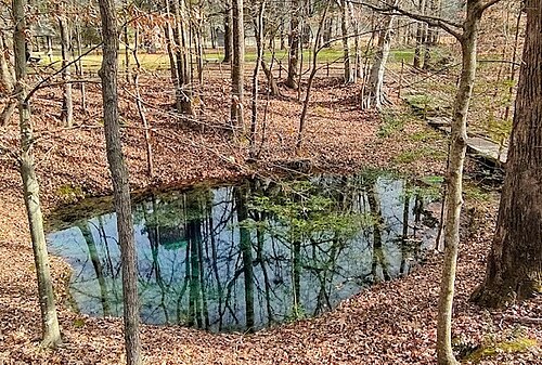 大きな水源の眺め
