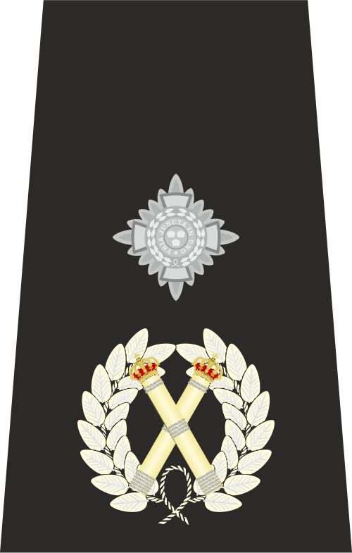 英国警察副警視長の肩章