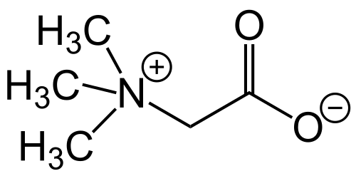 トリメチルグリシン（通称ベタイン）