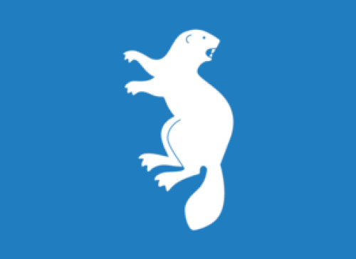 アムリ市の旗