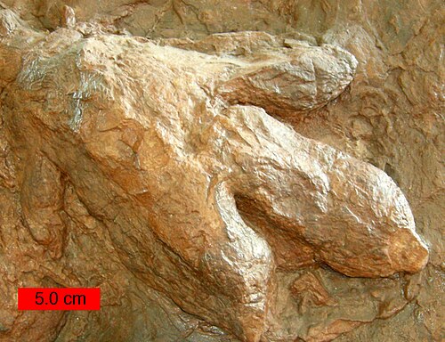 ユタ州南西部ジョンソン農場のセントジョージ恐竜発見地にあるジュラ紀前期モエナベ層に発見された恐竜の足跡、ギガンディプス