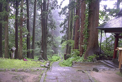 山頂への道