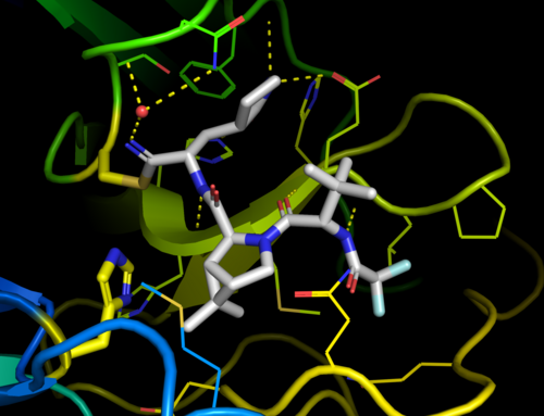 X線結晶構造 PDB:7si9
