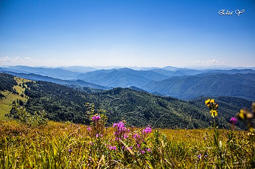スコーレ・ベスキディ山脈のパラシュカ山脈の最高峰、パラシュカ山
