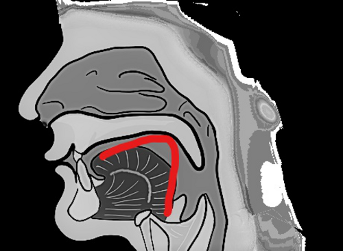 ㄱ（g,k）を発音するときの舌の形