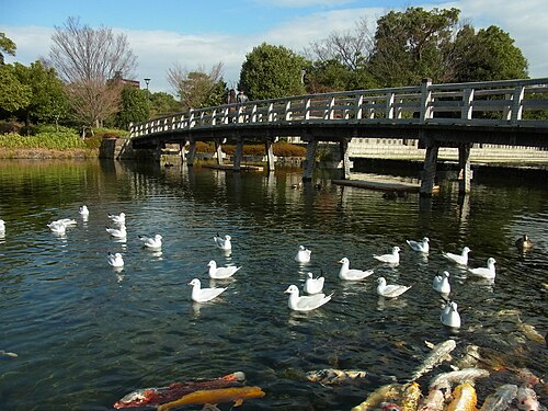 白鳥公園