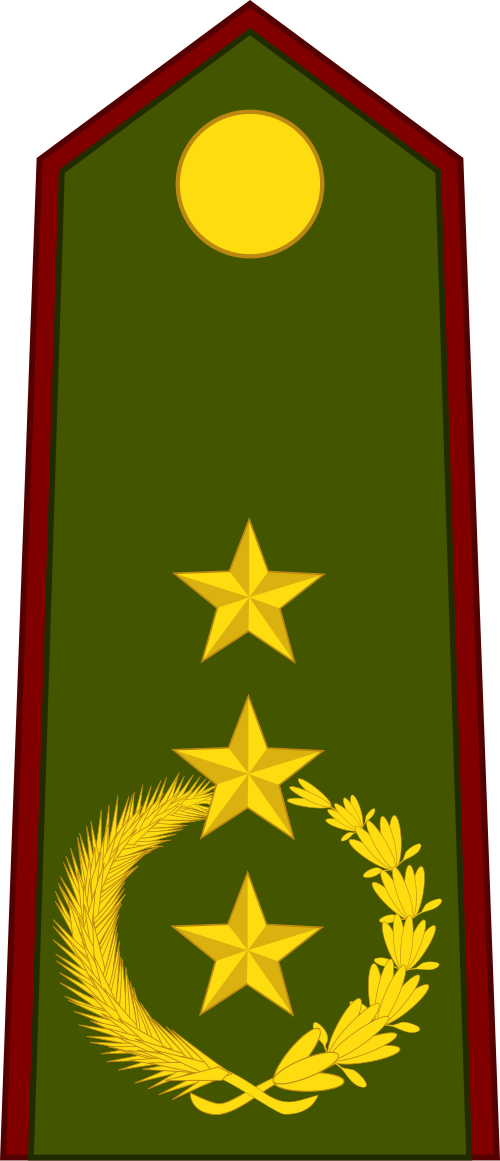 師団将軍(パラグアイ陸軍)