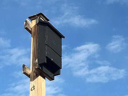 画像は木製のコウモリの巣箱です