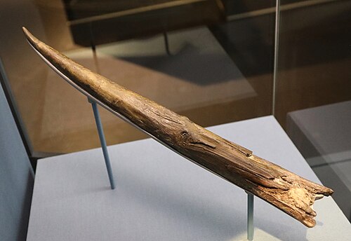 クラクトン・スピア、約40万年前のイチイの槍の穂先