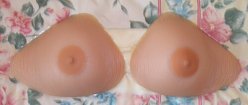 乳房切除術後に一部の女性が使用する乳房プロテーゼ
