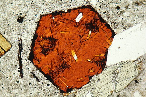 平面偏光顕微鏡下で薄片観察した、針状のルチル包有物を含む黒雲母の基底部。