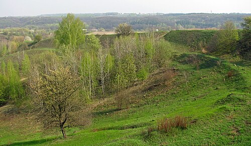 2009 年の丘陵要塞の北東端 (翌年解体)。背景と右側に城壁と堀の跡が見える。