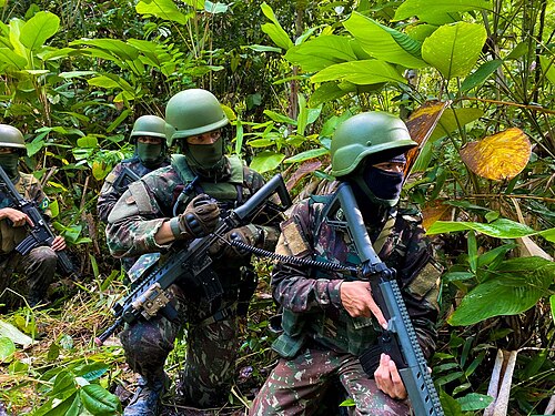ジャングル戦歩兵