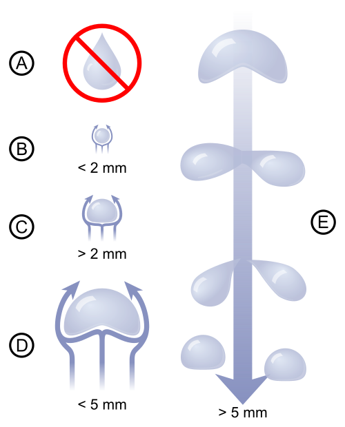 非常に小さな雨滴はほぼ球形であることを示す図。雨滴が大きくなるにつれて、ハンバーガーのバンズのように底が平らになる。非常に大きな雨滴は空気抵抗によって小さな雨滴に分裂し、不安定さが増す。